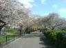 Summer's on it's way small.JPG
