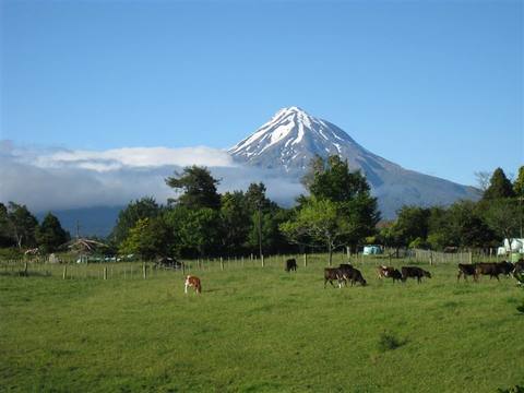 NZ Pics